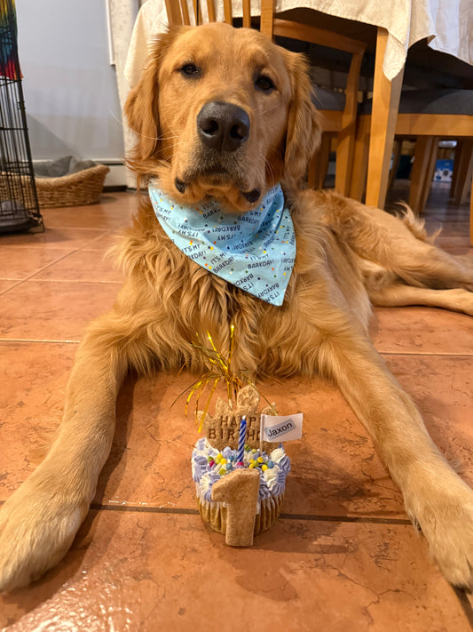 Dog Bandana